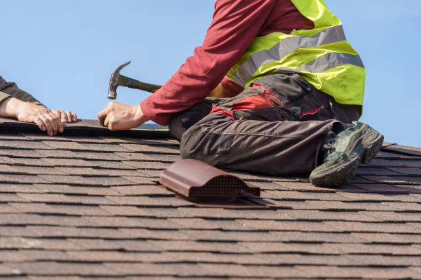 Best Local Roofing Companies  in Trevorton, PA